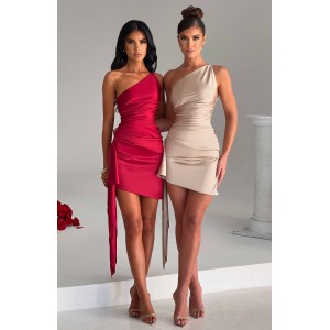 Avery Mini Dress - Wine