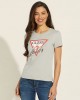 Eco Grey Icon Logo T-Shirt