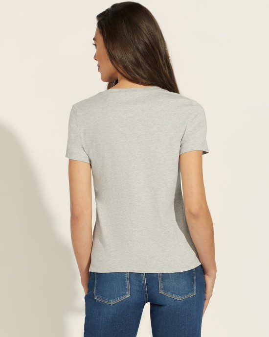 Eco Grey Icon Logo T-Shirt